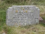 image of grave number 300478